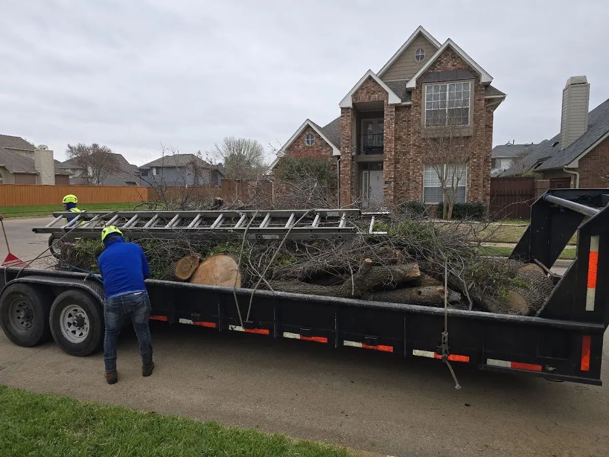 Expert Lot Clearing with proper safety equipment in Corrigan